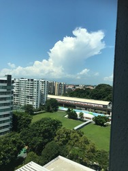 East Meadows (D16), Condominium #205962041